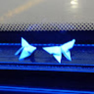 Meet your Posher, Annabelle